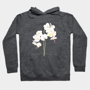 2 white orchid watercolor and ink Hoodie